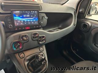 FIAT Panda usata, con Controllo trazione