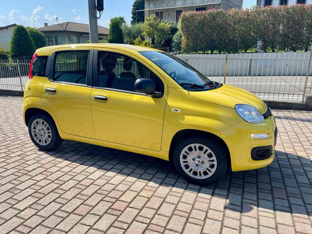 FIAT Panda usata, con Airbag Passeggero