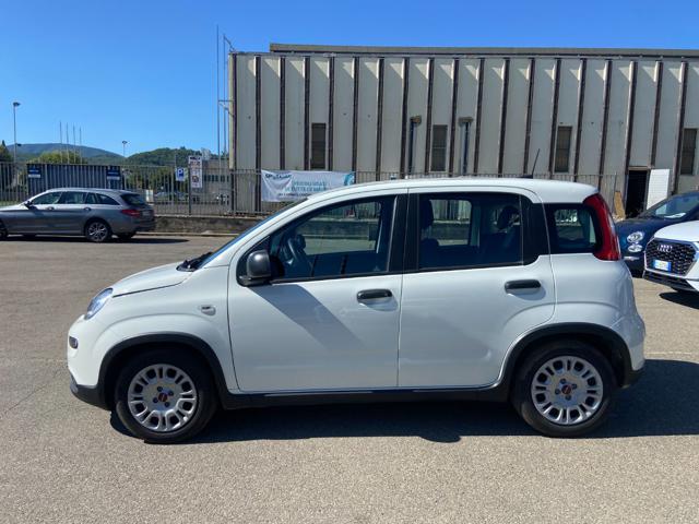 FIAT Panda usata 21