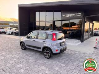FIAT Panda usata, con Controllo trazione