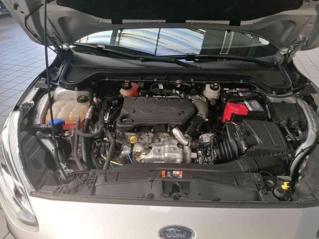 FORD Focus usata 43