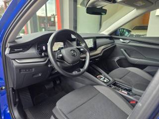 SKODA Octavia usata 81