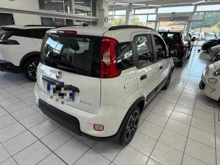 FIAT Panda usata, con Climatizzatore