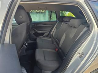 SKODA Octavia usata 97