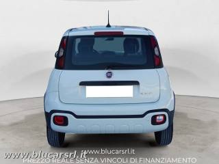 FIAT Panda usata 3