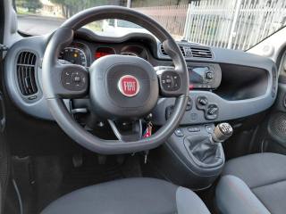 FIAT Panda usata, con Airbag testa