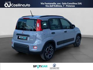 FIAT Panda usata, con Alzacristalli elettrici