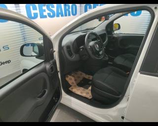 FIAT Pandina usata, con Controllo automatico clima