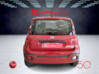 FIAT Panda Cross usata 8