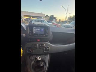 FIAT Panda usata 12