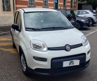 FIAT Panda usata, con Servosterzo