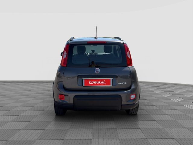 FIAT Panda usata 3