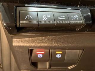 RENAULT Austral usata 28