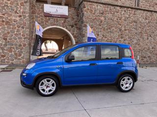 FIAT Panda usata 42