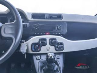 FIAT Panda usata 13