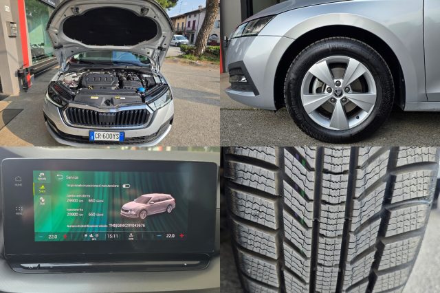 SKODA Octavia usata, con Fari Xenon