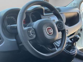 FIAT Panda usata, con Immobilizzatore elettronico