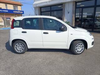 FIAT Panda usata, con Controllo trazione