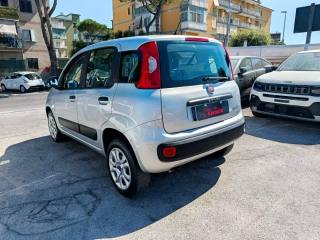 FIAT Panda usata, con Alzacristalli elettrici