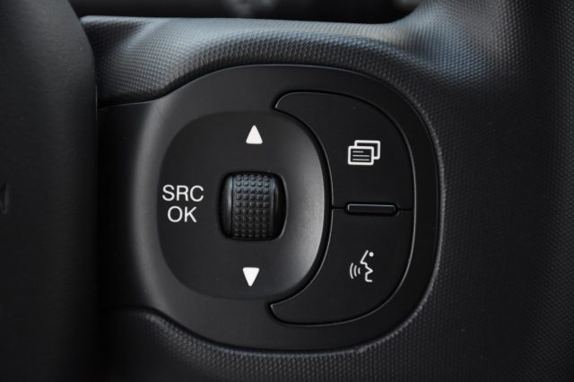 FIAT Panda usata, con Controllo vocale