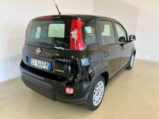 FIAT Panda usata, con Airbag