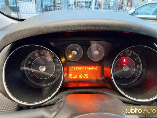 FIAT Punto usata 19