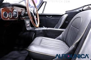 AUSTIN Healey usata 5