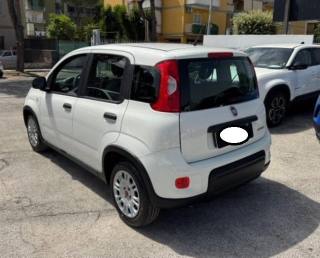 FIAT Panda usata, con Autoradio