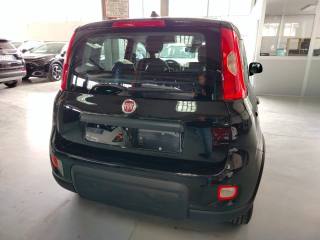 FIAT Panda usata, con Servosterzo