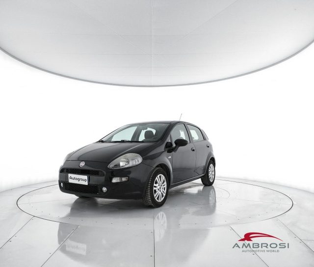 FIAT Punto usata 0