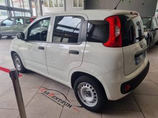 FIAT Panda usata, con Airbag Passeggero