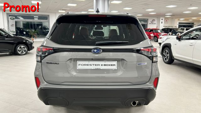 SUBARU Forester usata, con Cruise Control