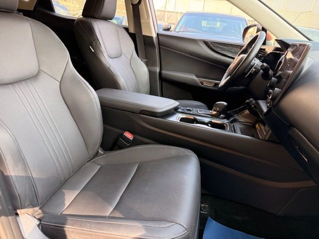 LEXUS NX 300h usata, con Fari Xenon
