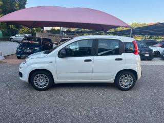 FIAT Panda usata, con Alzacristalli elettrici