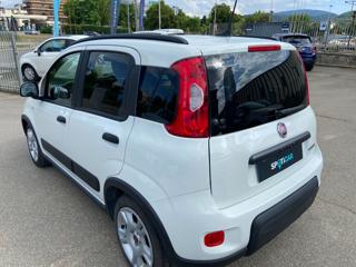 FIAT Panda usata 19