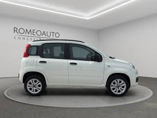 FIAT Panda usata 6