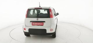 FIAT Panda usata 34
