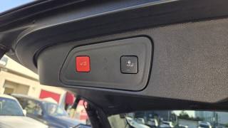 PEUGEOT 3008 usata, con Cruise Control