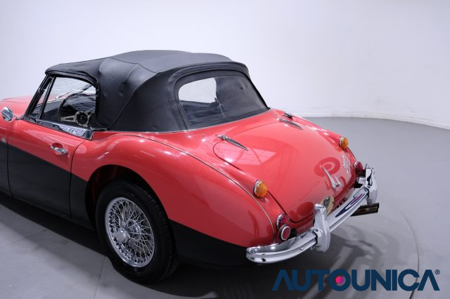 AUSTIN Healey usata 66