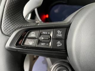 ALFA ROMEO Stelvio usata, con Controllo trazione