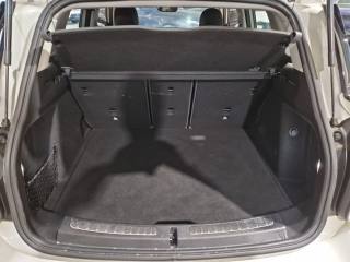 MINI Countryman usata, con Park Distance Control