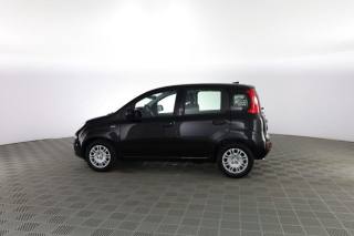 FIAT Panda usata 5