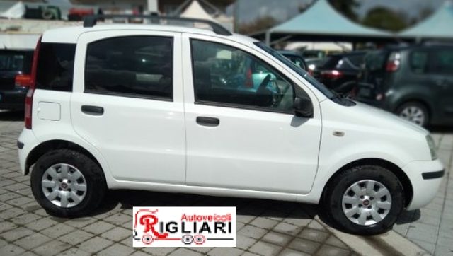 FIAT Panda usata 2