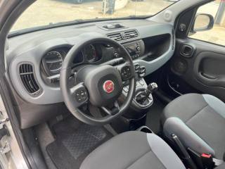 FIAT Panda usata 12