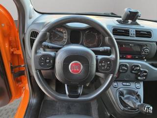 FIAT Panda usata 10