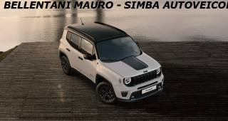 JEEP Renegade usata, con Cerchi in lega