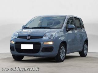 FIAT Panda PANDA 1.2 Easy