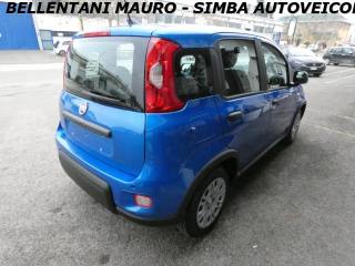 FIAT Panda usata, con Controllo trazione
