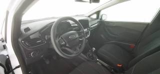 FORD Fiesta usata 59