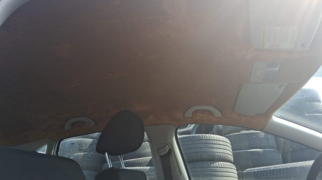 VOLKSWAGEN Polo usata, con ESP